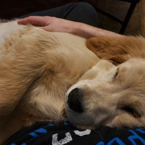 Meet your Posher, Matteo